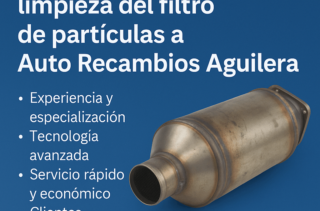 ¿Buscas limpieza de filtro de partículas en Benalmádena o Fuengirola?